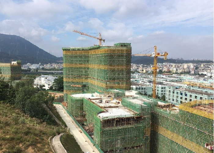 悟空网页版入口